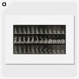 2-15_Eadweard-Muybridge_picture