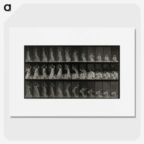 2-15_Eadweard-Muybridge_picture