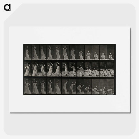 2-15_Eadweard-Muybridge_picture