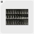 2-15_Eadweard-Muybridge_postcard