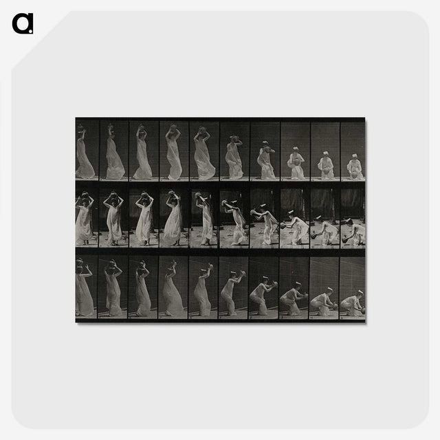 2-15_Eadweard-Muybridge_postcard
