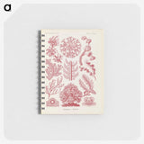 2-15_Ernst-Haeckel_memo