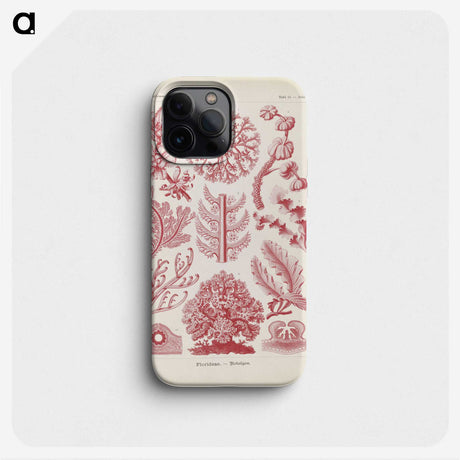 2-15_Ernst-Haeckel_phone