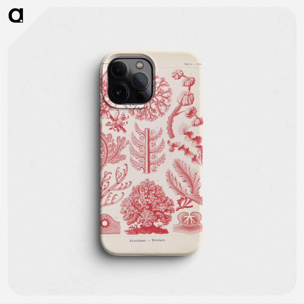 Marine life illustration - エルンスト ヘッケル Phone Case.
