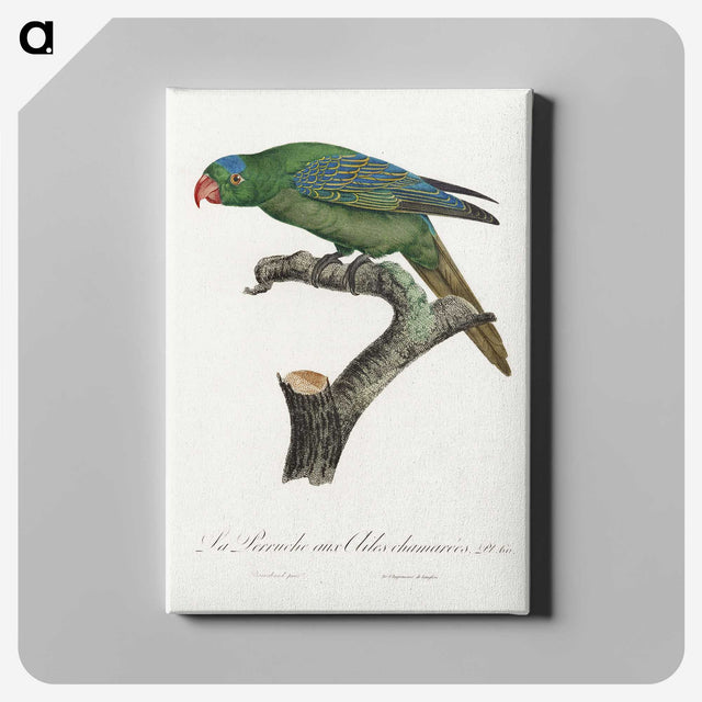 2-15_Francois-Levaillant_canvas