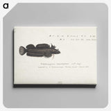 2-15_Frank-Edward-Clarke_canvas