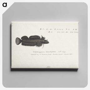 2-15_Frank-Edward-Clarke_canvas