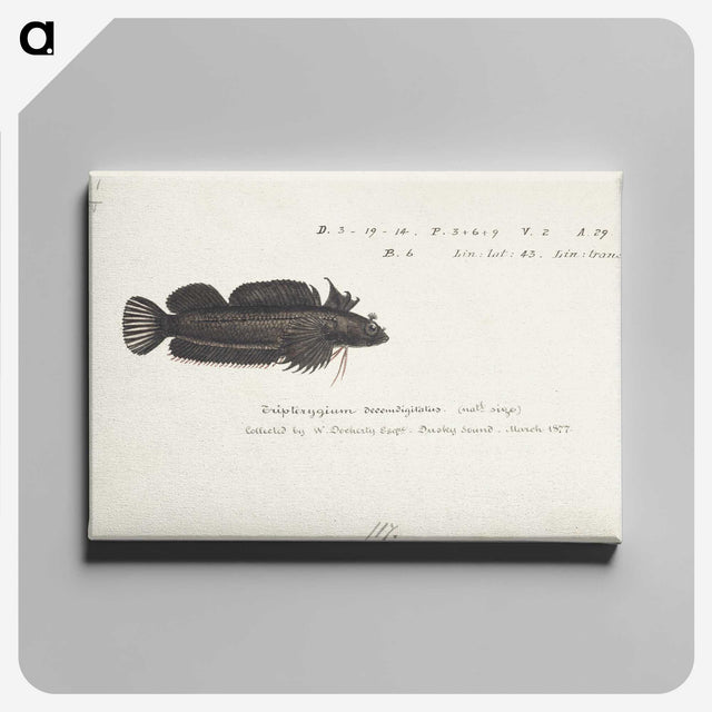 2-15_Frank-Edward-Clarke_canvas