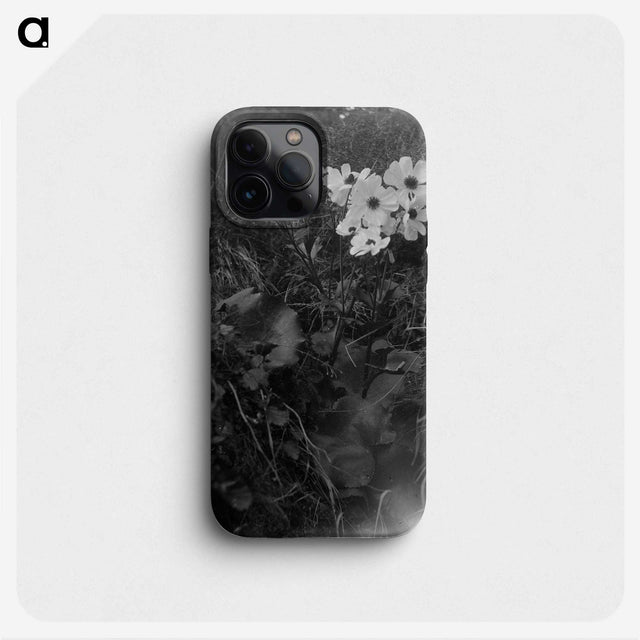 2-15_Frederick-Charles-Brockett_phone