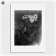 2-15_Frederick-Charles-Brockett_picture