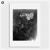 2-15_Frederick-Charles-Brockett_picture