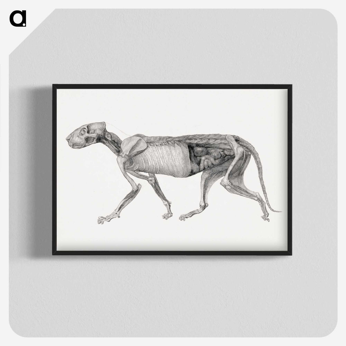 2-15_George-Stubbs_blk-crop