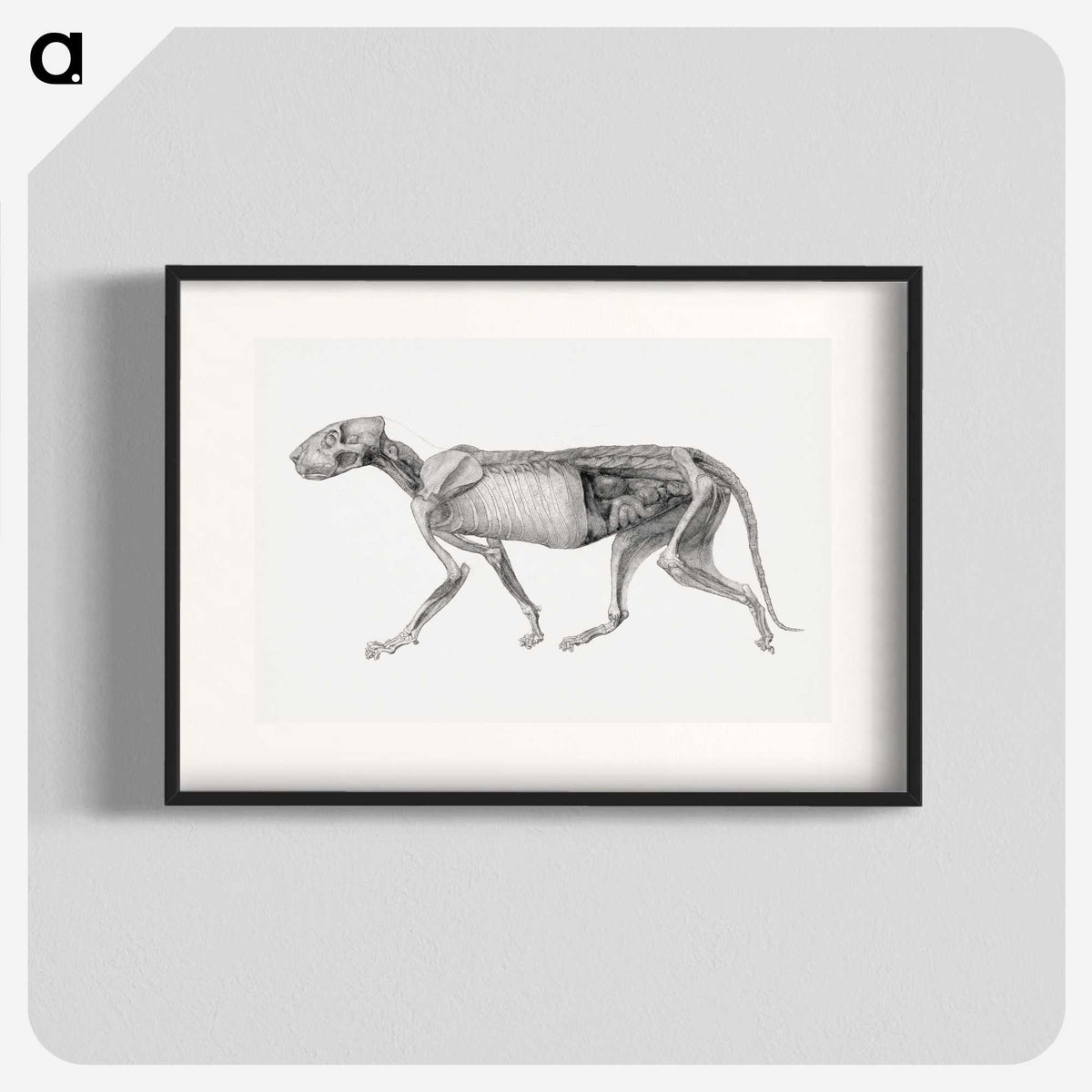2-15_George-Stubbs_blk