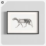 2-15_George-Stubbs_blk