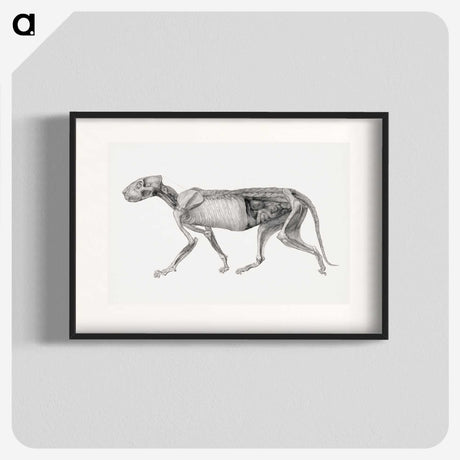 2-15_George-Stubbs_blk