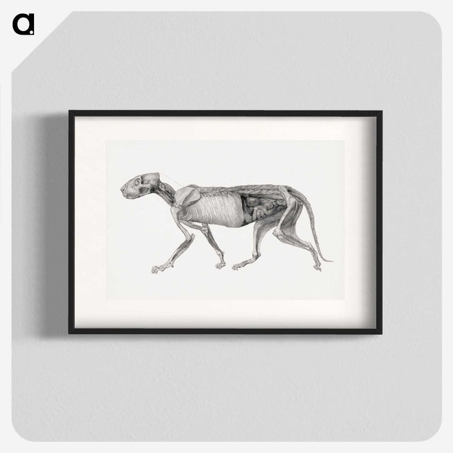 2-15_George-Stubbs_blk