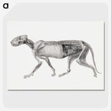 2-15_George-Stubbs_picture-crop