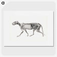 2-15_George-Stubbs_picture