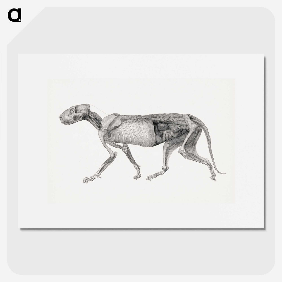 2-15_George-Stubbs_picture