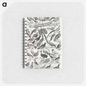 アートメモ帳-Ornithology
 - ゴールドスミスの生き生きとした自然 Memo.