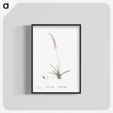 2-15_Histoire-des-Plantes-Grasses_blk-crop