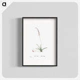 2-15_Histoire-des-Plantes-Grasses_blk