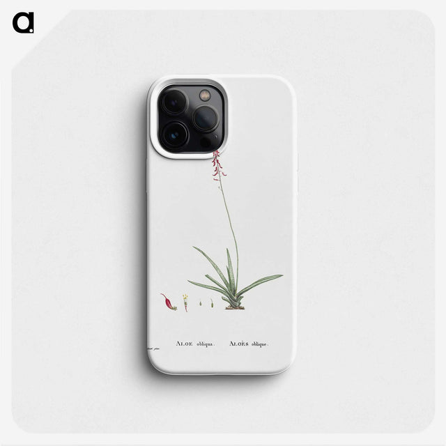 2-15_Histoire-des-Plantes-Grasses_phone