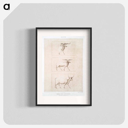 Sheep & Cattle Breeds
 - Egyptian Art History Poster.