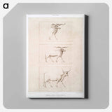 アートパネル-Sheep & Cattle Breeds
 - エジプト美術史 Canvas.