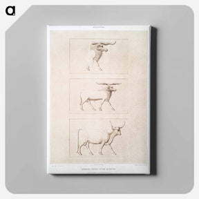 アートパネル-Sheep & Cattle Breeds
 - エジプト美術史 Canvas.