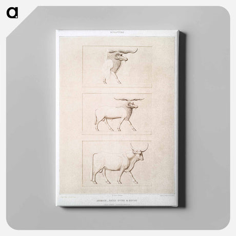 アートパネル-Sheep & Cattle Breeds
 - エジプト美術史 Canvas.