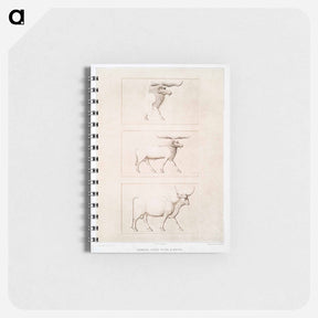 アートメモ帳-Sheep & Cattle Breeds
 - エジプト美術史 Memo.