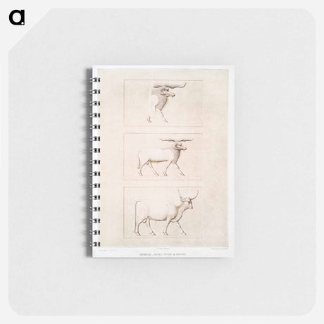 アートメモ帳-Sheep & Cattle Breeds
 - エジプト美術史 Memo.