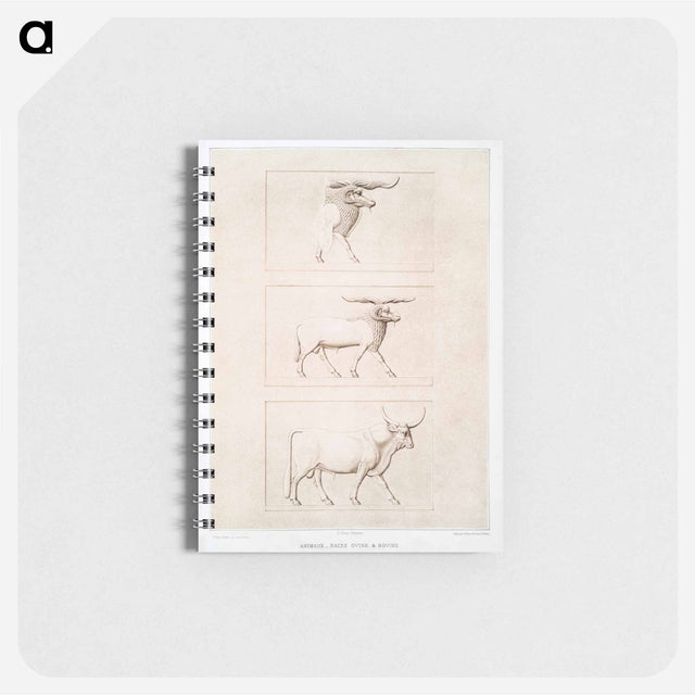 アートメモ帳-Sheep & Cattle Breeds
 - エジプト美術史 Memo.