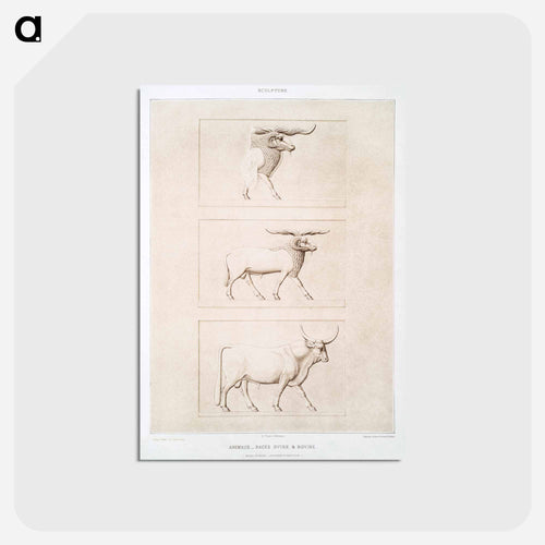 Sheep & Cattle Breeds
 - エジプト美術史 Postcard.