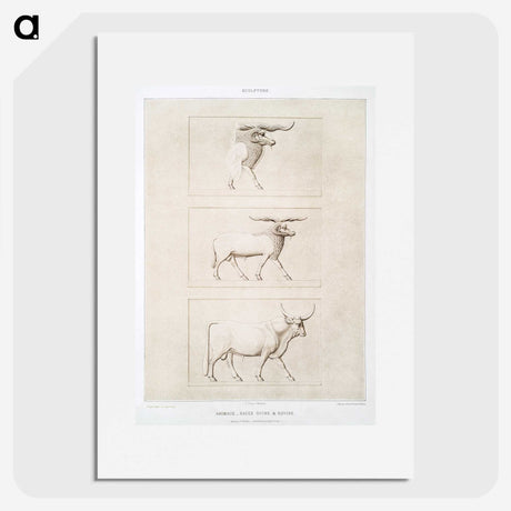 2-15_History-of-Egyptian-Art_picture