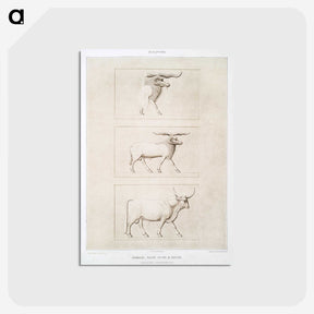 2-15_History-of-Egyptian-Art_postcard