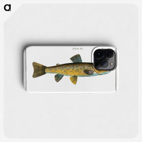 2-15_Ichtyologie-ou-Histoire-naturelle_phone