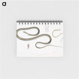 2-15_Indian-Zoology_memo