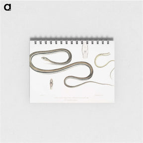 2-15_Indian-Zoology_memo