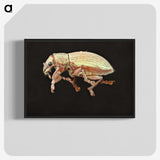 2-15_Insects-Unlocked-Project_blk-crop