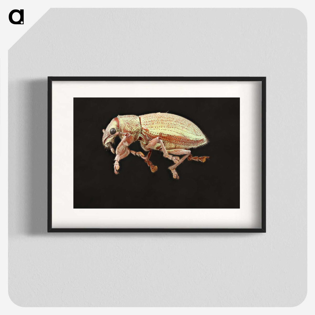 2-15_Insects-Unlocked-Project_blk