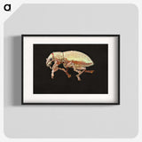 2-15_Insects-Unlocked-Project_blk