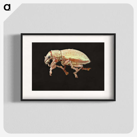 2-15_Insects-Unlocked-Project_blk
