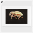 2-15_Insects-Unlocked-Project_picture
