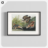 2-15_John-James-Audubon_blk