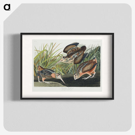 2-15_John-James-Audubon_blk