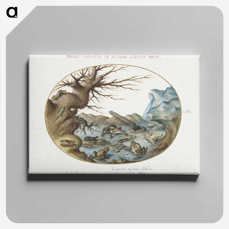 2-15_Joris-Hoefnagel_canvas