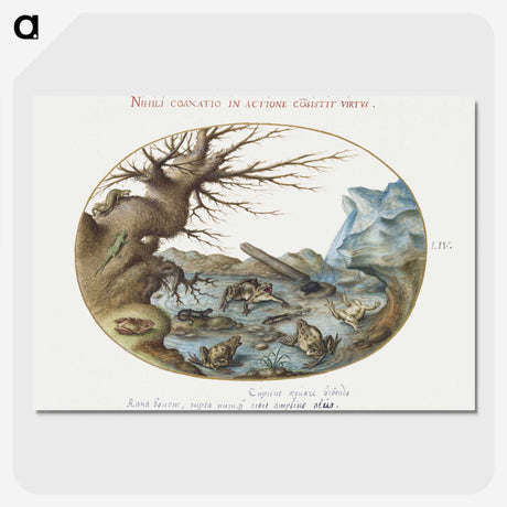 2-15_Joris-Hoefnagel_picture-crop