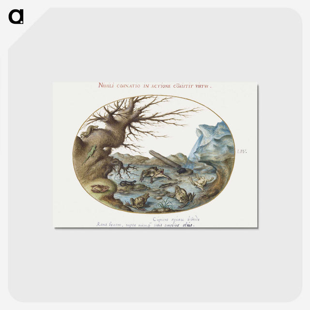 2-15_Joris-Hoefnagel_postcard